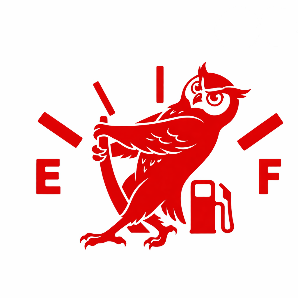 funny owl vinyl sticker
