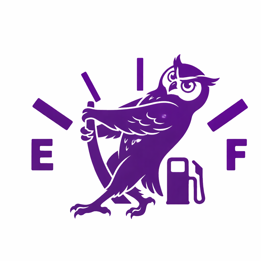 funny owl vinyl sticker